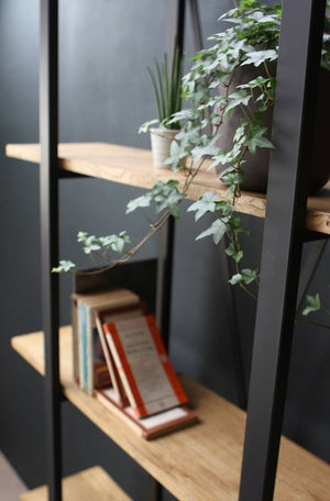 Meuble-bibliothèque Décoratif BRISTOL