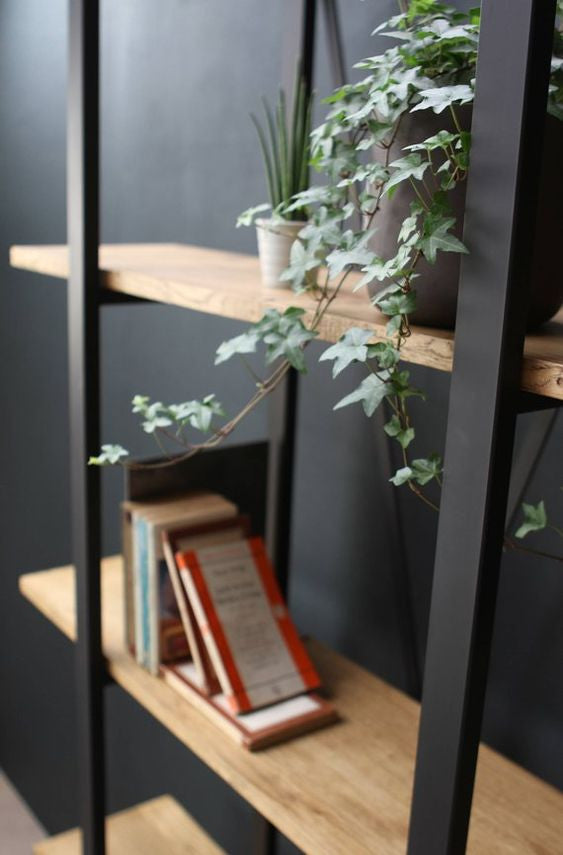 Meuble-bibliothèque Décoratif BRISTOL